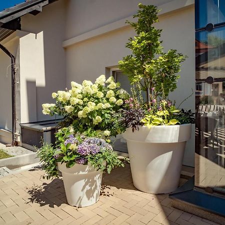Hotel U Kaplicky Pisek  Ngoại thất bức ảnh